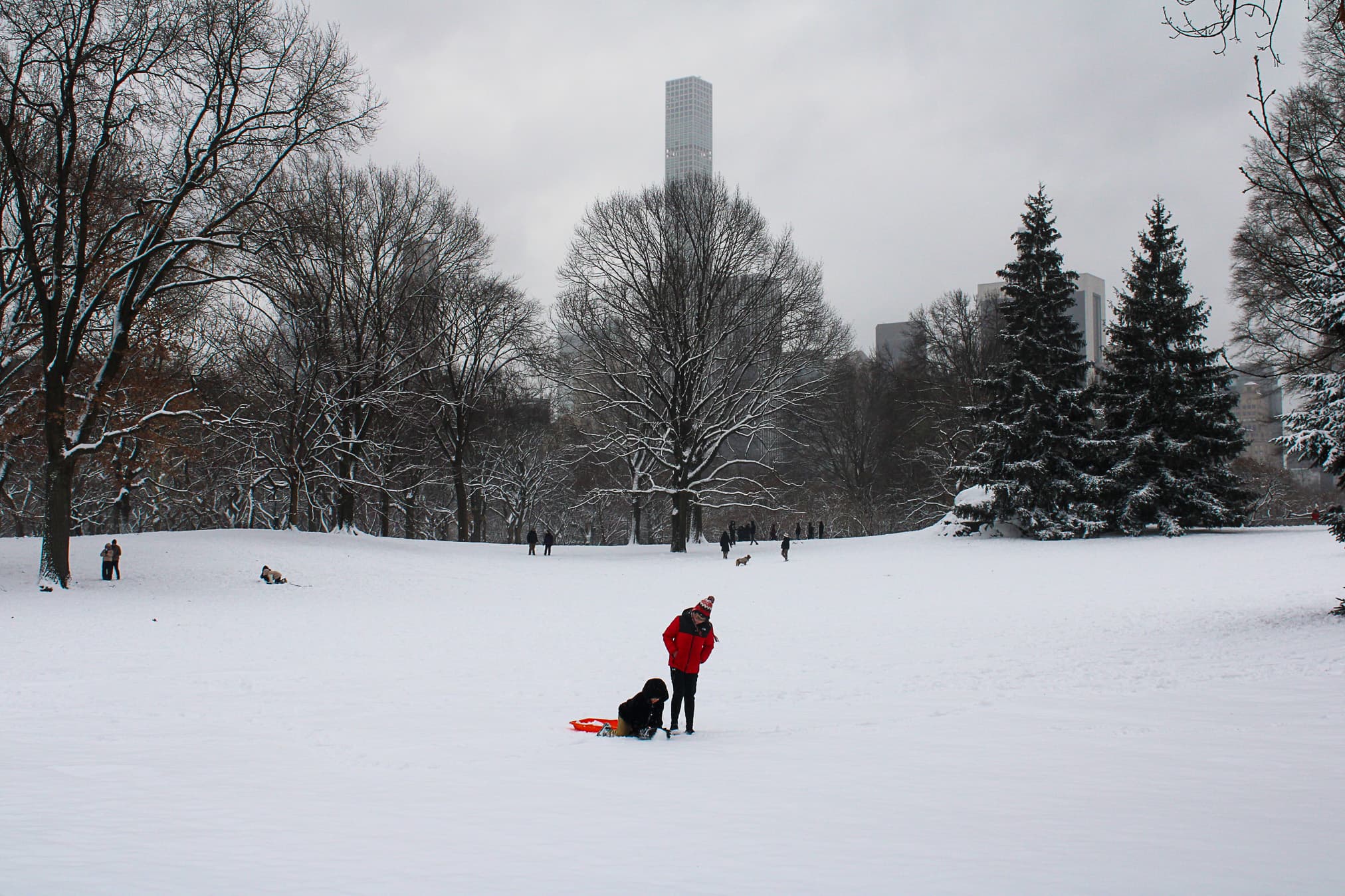 Winter in New York